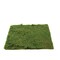 18x16-Inch Green Natural Preserved Moss Sheet Party DIY Crafts Supplies Event